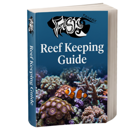 Reef keeping Guides